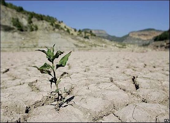 ابیاتی درباره ی وضعیت بسیار مهلک وغم انگیز کم آبی و خشک سالی های متوالی چندین ساله در دشت سیستان