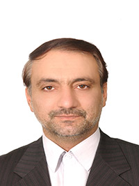 سید حسین دهدشتی