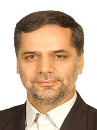 سید حسین نقوی حسینی
