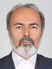 سید احسن علوی (سنندج)