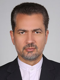 سید حسن حسینی شاهرودی