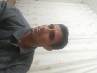 مجید حجتی