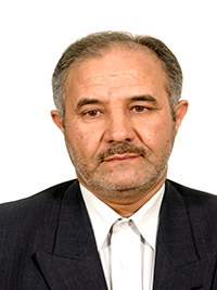 محمد سلطانی
