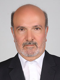 محمد رضا بادامچی